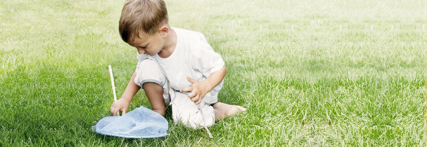 Schwerpunkte Förderung